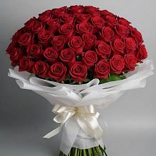Букет 101 Красная роза Блэк Мэджик в Спартак
