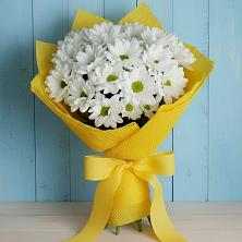 Букет цветов из:  Хризантемы в Спартак