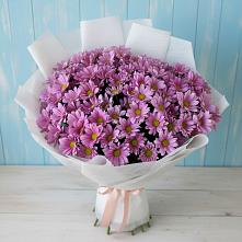 Букет цветов из:  Хризантемы в Спартак