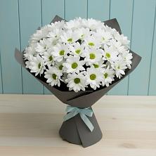 Букет цветов из:  Хризантемы в Спартак