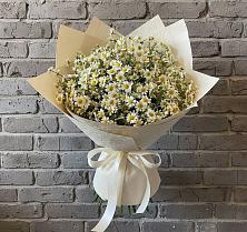 Букет цветов из:  Ромашки в Спартак