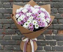 Букет цветов из:  Хризантемы в Спартак