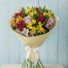 Букет цветов из:  Альстромерии в Спартак
