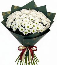 Букет цветов из:  Хризантемы в Спартак