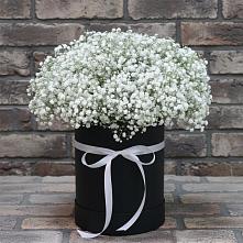 Цветочная композиция из Гипсофила в шляпной коробке #REPLACE_PRED# Спартак