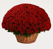 Премиум букет из: Розы в Спартак