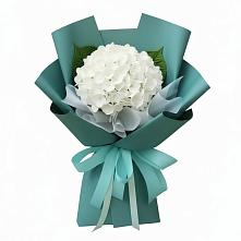 Букет цветов из:  Гортензия в Спартак